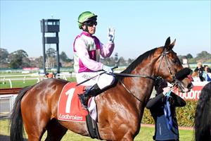 Delicious Tycoon & Ben Melham, Sandown, July 2022 Delicious Tycoon & Ben Melham, Sandown, July 2022